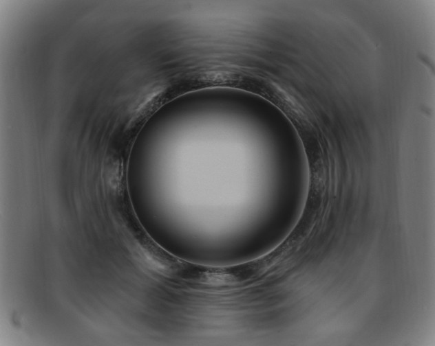 X0000092110605200709121619