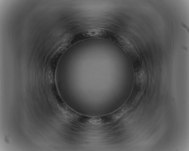 X0000092110606200709121619