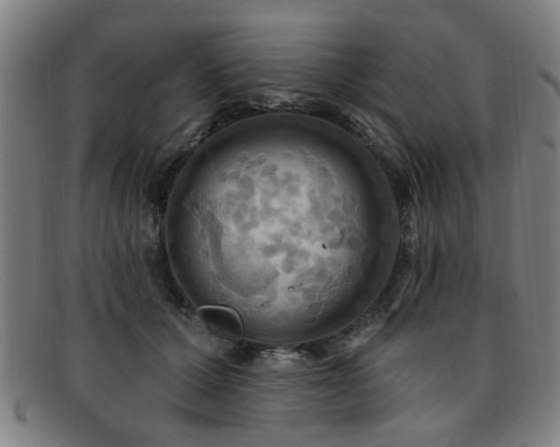 X0000092110607200709121619