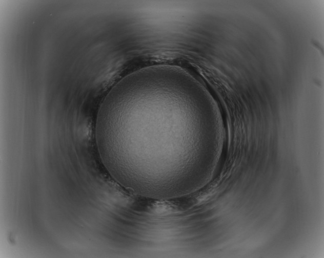 X0000092110608200709121619