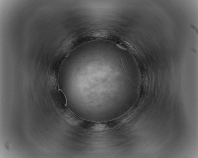 X0000092110609200709121619