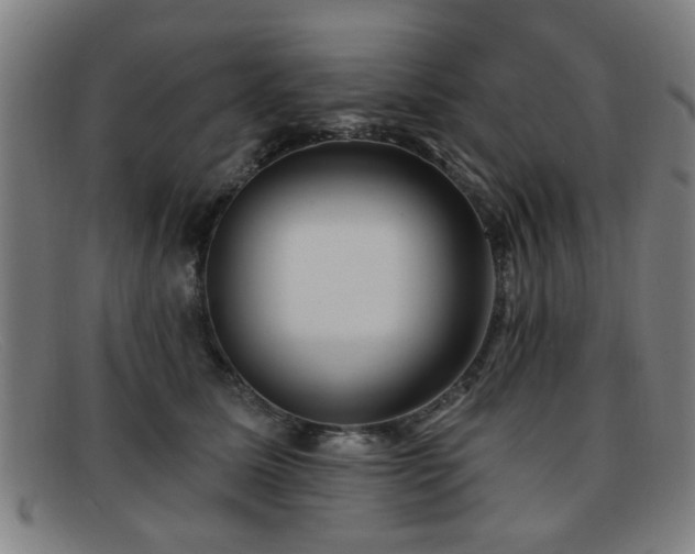 X0000092110611200709121619