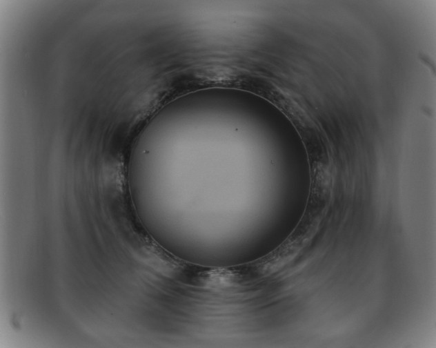 X0000092110612200709121619