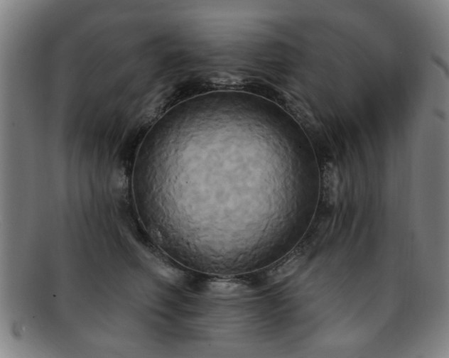 X0000092110614200709121619