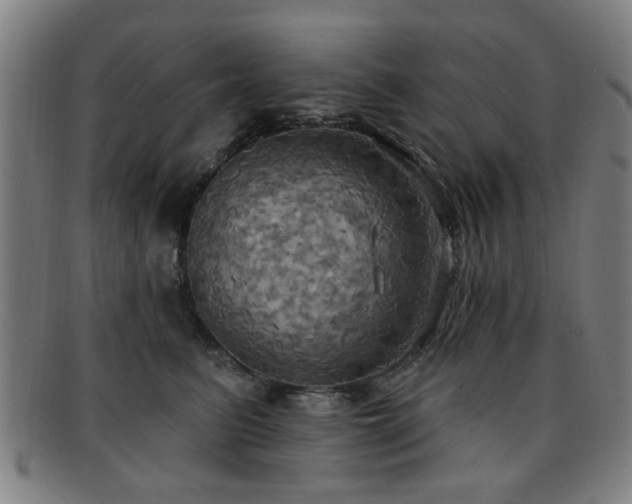 X0000092110615200709121619