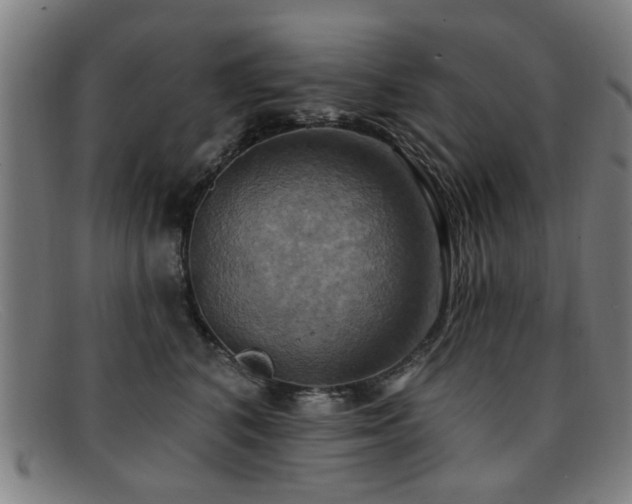 X0000092110616200709121619