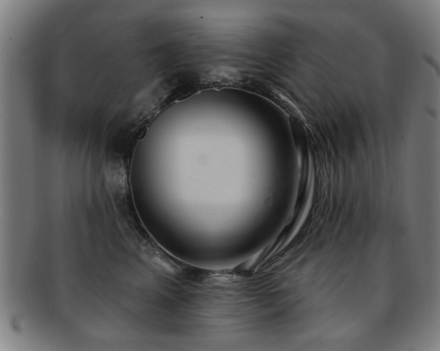 X0000092110617200709121619