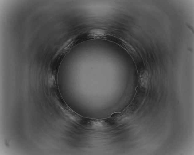 X0000092110618200709121619