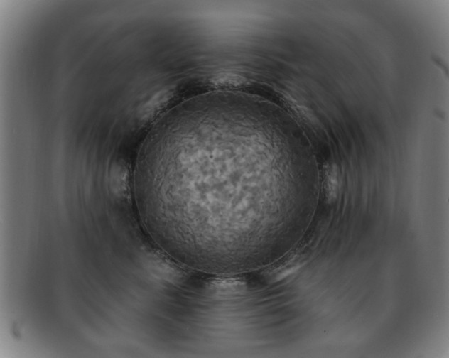 X0000092110619200709121619