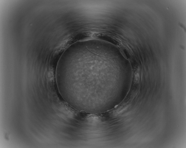 X0000092110620200709121619