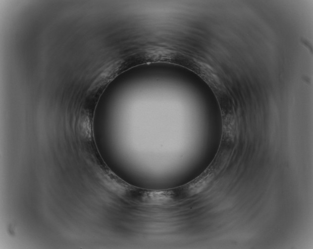 X0000092110622200709121619