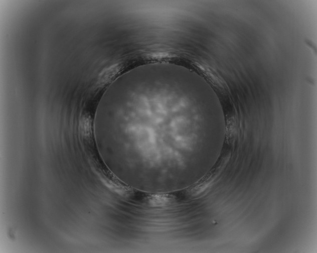 X0000092110623200709121619