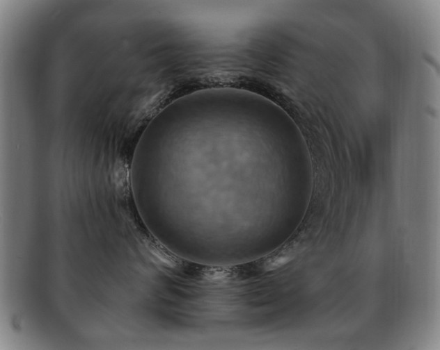 X0000092110624200709121619