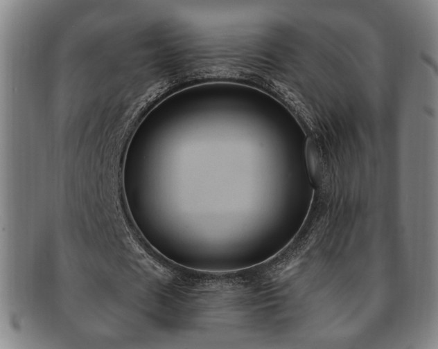 X0000092110625200709121619