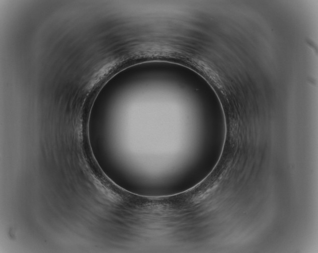 X0000092110629200709121619