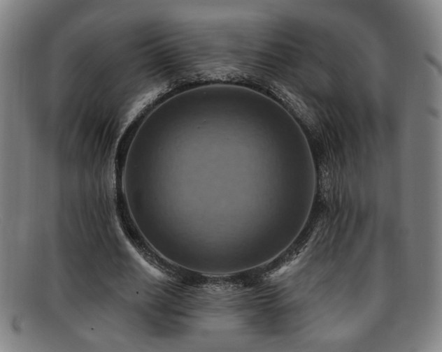 X0000092110630200709121619