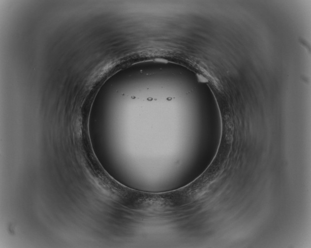 X0000092110631200709121619