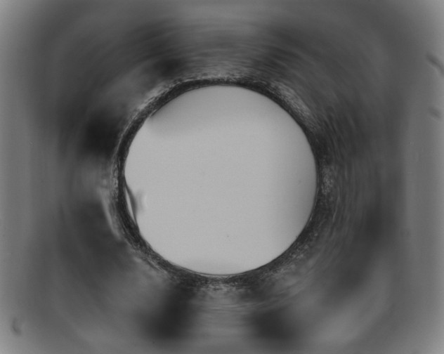 X0000092110632200709121619