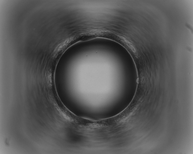 X0000092110633200709121619