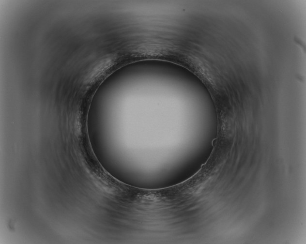 X0000092110635200709121619