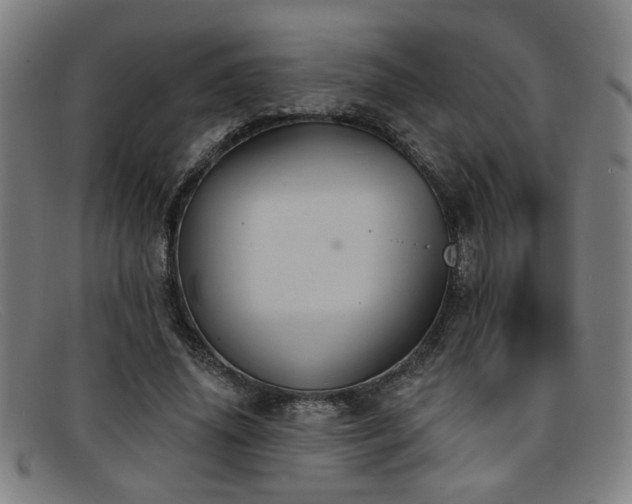 X0000092110636200709121619