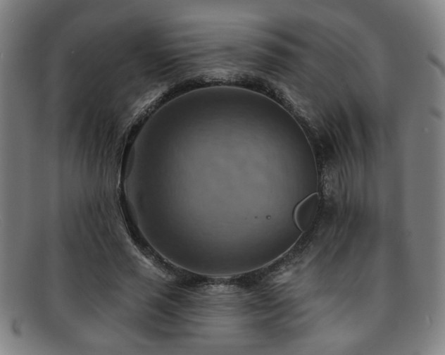 X0000092110637200709121619