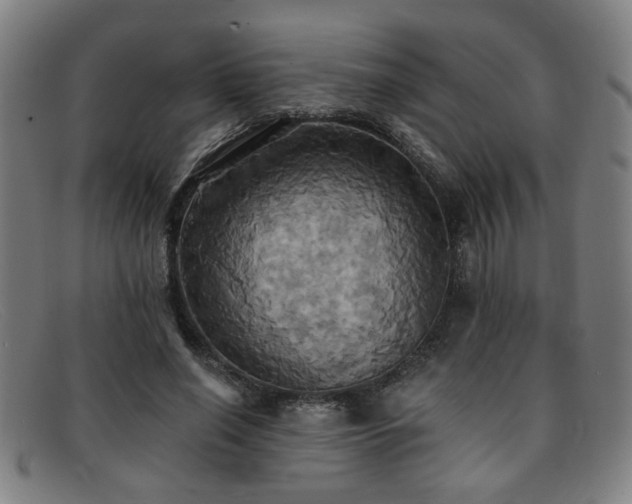 X0000092110638200709121619