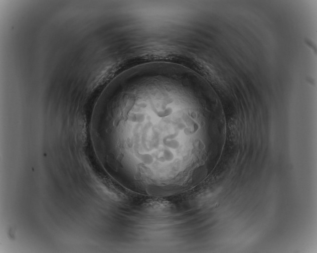 X0000092110642200709121619