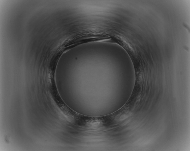 X0000092110643200709121619