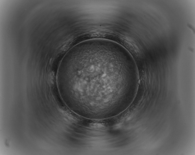 X0000092110649200709121619