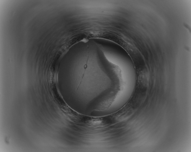 X0000092110651200709121619