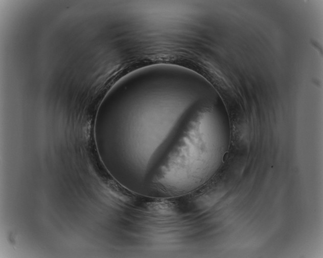 X0000092110652200709121619