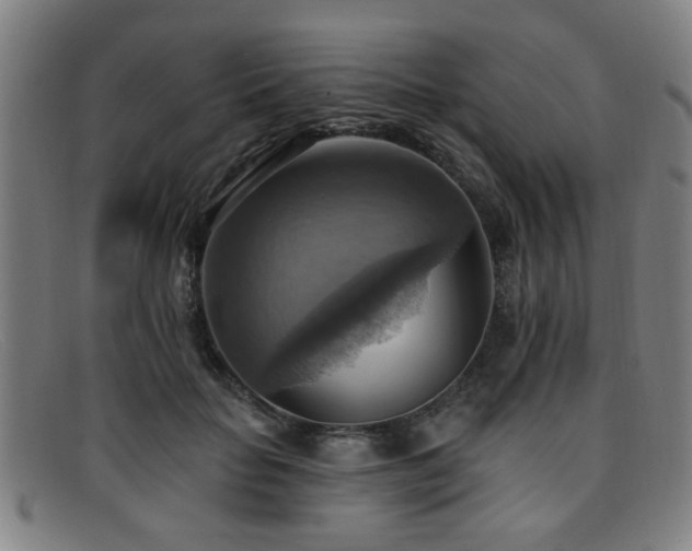 X0000092110653200709121619