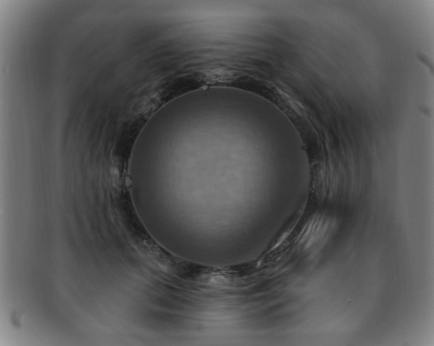 X0000092110655200709121619