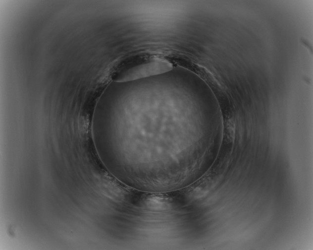 X0000092110657200709121619