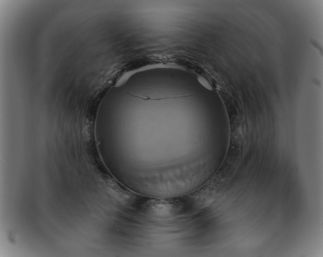 X0000092110658200709121619