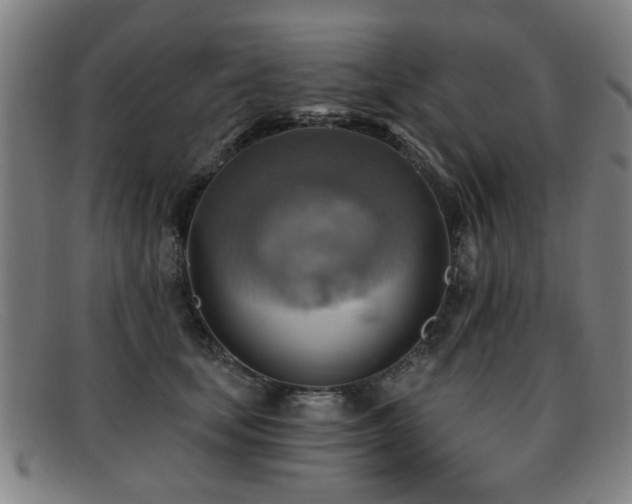 X0000092110659200709121619