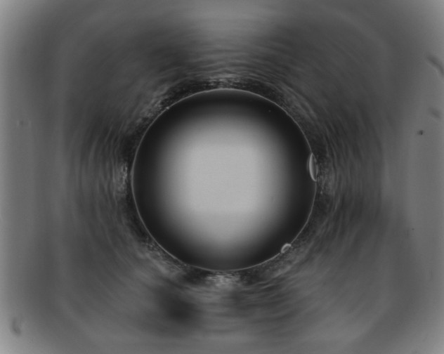 X0000092110660200709121619