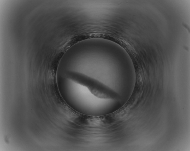 X0000092110661200709121619