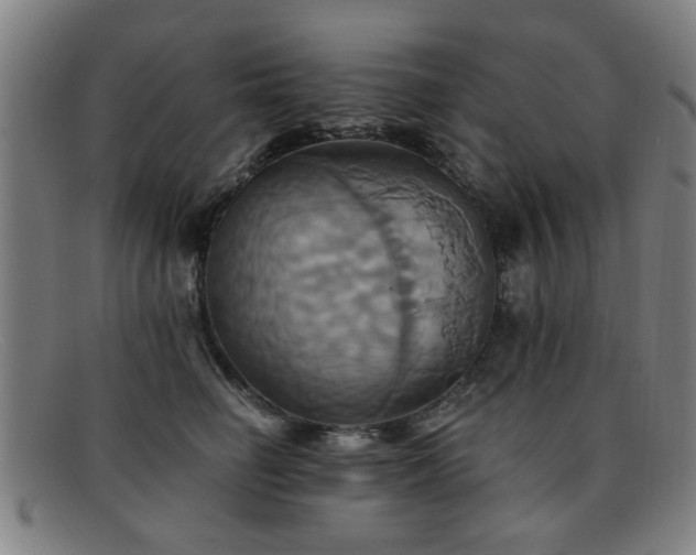 X0000092110662200709121619