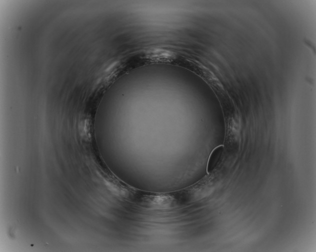 X0000092110663200709121619