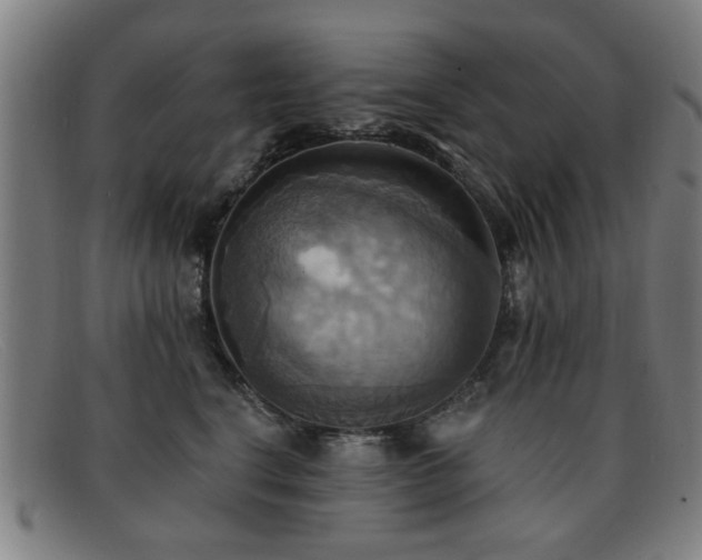 X0000092110664200709121619