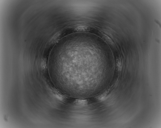 X0000092110665200709121619