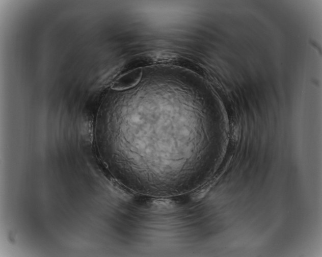 X0000092110666200709121619