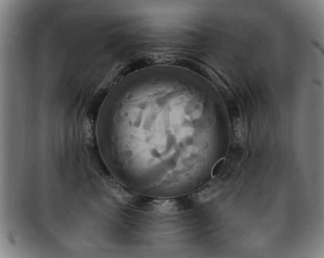 X0000092110667200709121619