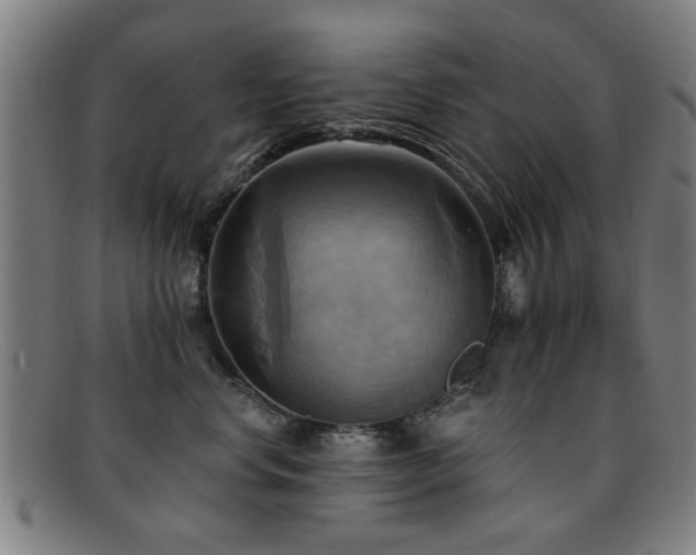 X0000092110668200709121619