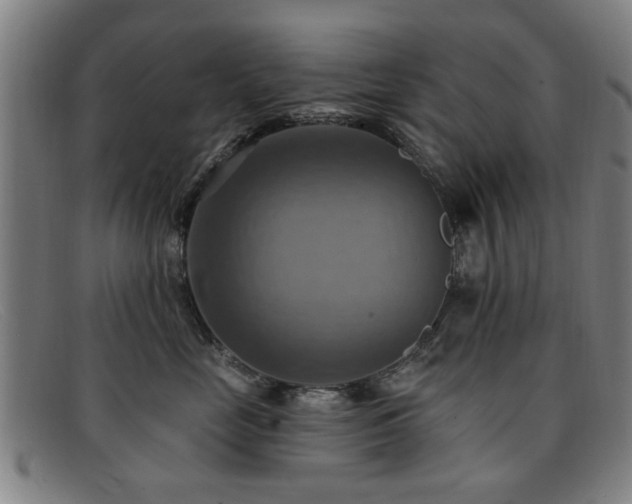 X0000092110669200709121619