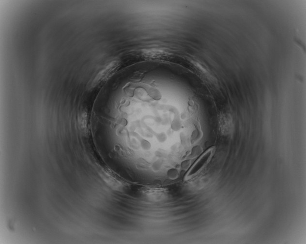 X0000092110670200709121619