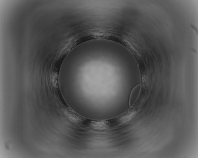 X0000092110671200709121619