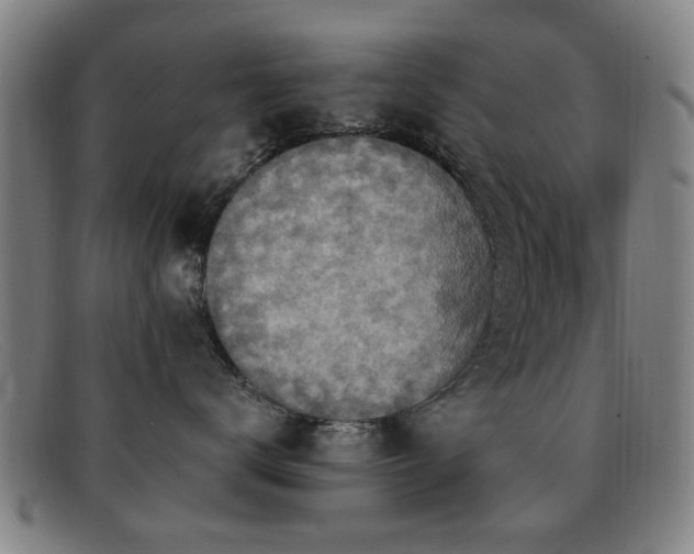 X0000092110672200709121619